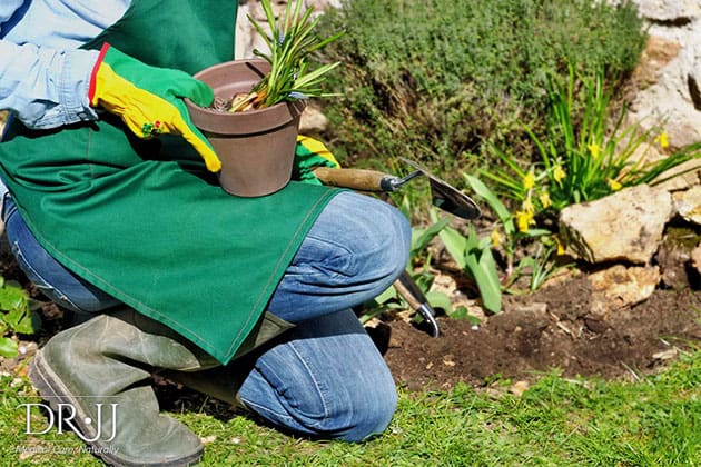 working in the garden is good for your health | Dr. JJ Dugoua, ND | Naturopathic Doctor in Toronto